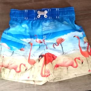 NWOT- infant boys swim trunks